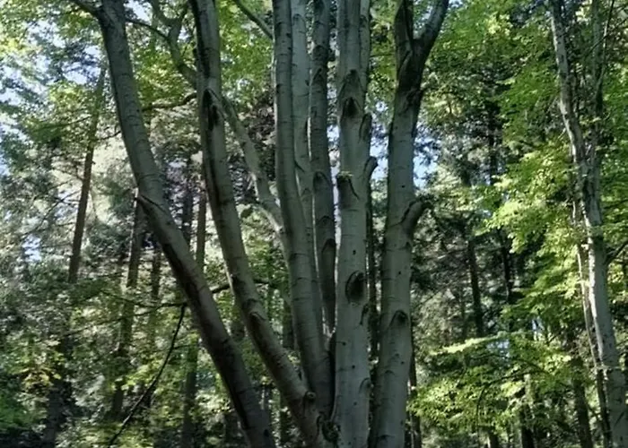 Διαμέρισμα Hikebike Μπιέλσκο-Μπιάλα